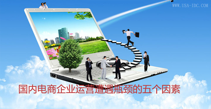 國內(nèi)電商企業(yè)運(yùn)營遭遇瓶頸的五個(gè)因素
